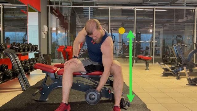 Концентрированный подъем на бицепс. Концентрированное сгибание на бицепс. Техника выполнения