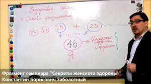 Пол Ребенка Определяет Мужчина. Из семинара Заболотного К.Б. "Секреты женского здоровья".