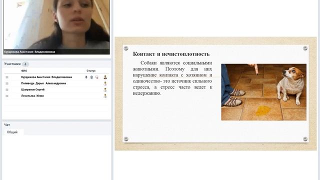 Зоопсихология:Чистоплотность собак