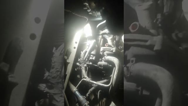 Меняем помпу, форд транзит смотреть онлайн