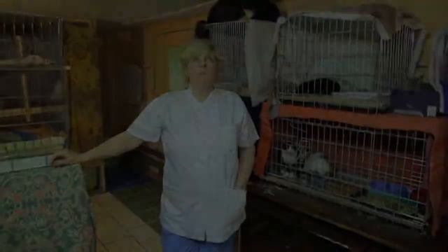 Передача о Приюте Ирины Добролюбовой! смотреть онлайн