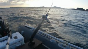 ВОТ ЭТО РЫБАЛКА🐟🐟🔥🔥👍 ГОРБУША , ПРИМОРСКИЙ КРАЙ ПОД НАХОДКОЙ .ИЮНЬ...