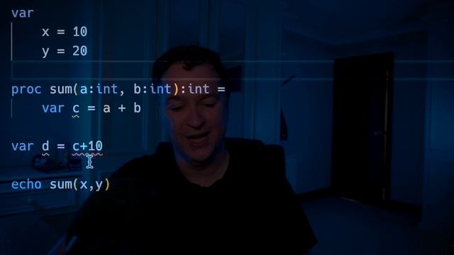 procedures and functions with nim language