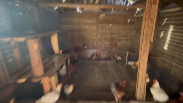 06-09-2023 смотреть онлайн