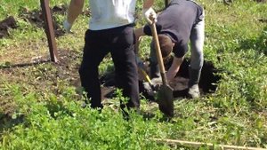 Копка колодца начало работ (часть 1я) с.Апарки Кимовский район 31.05.16