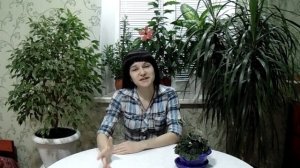 Пеперомия сморщенная. Уход.