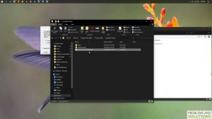Solutions to the "flexnet license finder" problem