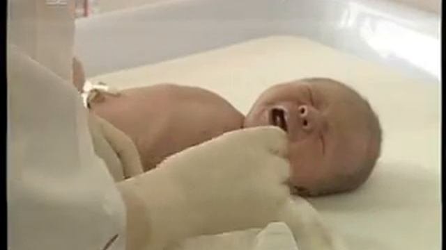 Новорожденные