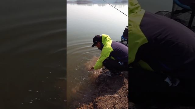 【鄧剛釣魚】在更深的野蕩裡釣鰱鳙，沒想到直接連竿爆護，這天氣真的很適合上口！【天元邓刚】