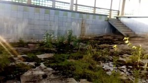 Заброшенный Бассейн деревня Федоровка Узловского района Тульской области