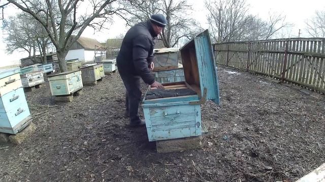 Весеннее утепление пчел 2 видео... смотреть онлайн