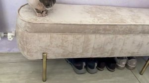 Банкетка в прихожую с ящиком для хранения, светло-бежевый