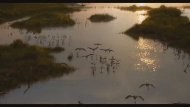 Король Лев: Тоже самое только в CGI /Время рецензий/ смотреть онлайн