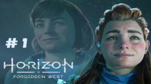 Horizon Forbidden West:  # 1.