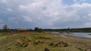 Новоплатнировская