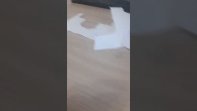 как сделать бингуса из бумаги