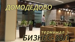 Бизнес зал Домодедово. Терминал D