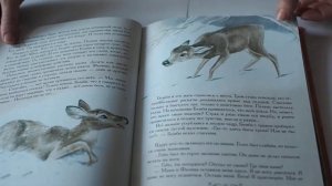 Феликс Зальтен: Бемби