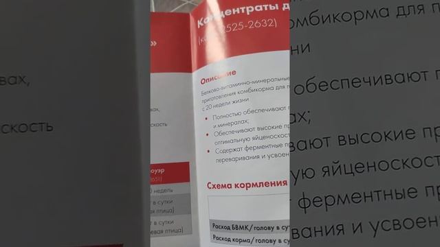 Схема кормления кур-несушек кормами Пурина