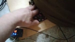 Термостат 220в с нагревательным элементом электро-грелка для поддержания температуры браги