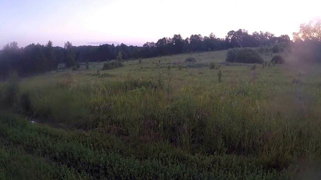 Московская область. Кабаны в дикой природе смотреть онлайн