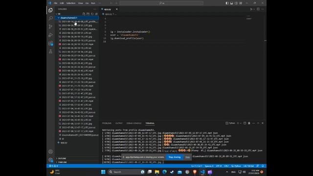 Download Instagram Posts Easily Using Python.