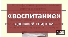 воспитание дрожжей спиртом | самогон | самогоноварение для начинающих | азбука винокура