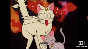 💖🌙~Артемис и Луна~🌙💖||клип||УЖАС!