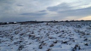 Если лошадь вас полюбит, у вас не будет забот.