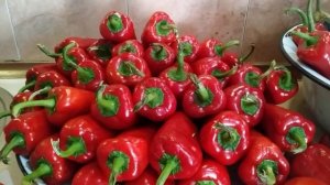 #Аджика из красного перца по грузинский.Вот чем я занята#аджика