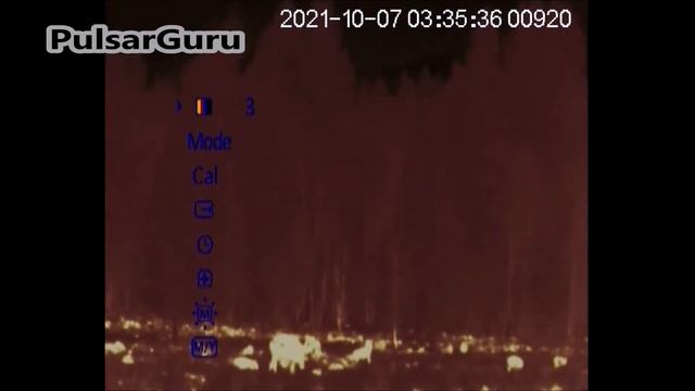 PULSAR QUANTUM LITE XQ30V среди свиней смотреть онлайн