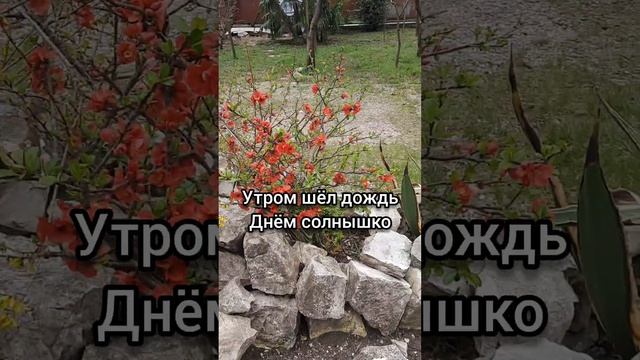 ПОГОДА НА ЮГЕ ЖИЛЬЕ В АБХАЗИИ ОТДЫХ В ЦАНДРЫПШ