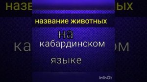 Название животных с переводом на кабардинском языке
