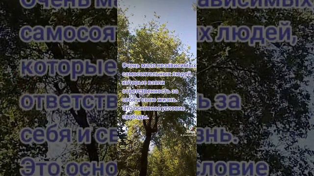 Свобода