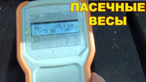 Пасечные весы.