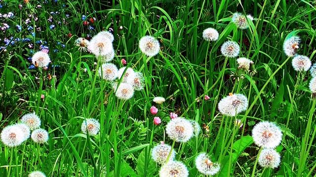 Уничтожение всех новообразований в области таза, брюшной полости Для женщин Сытин Г.Н. смотреть онлайн