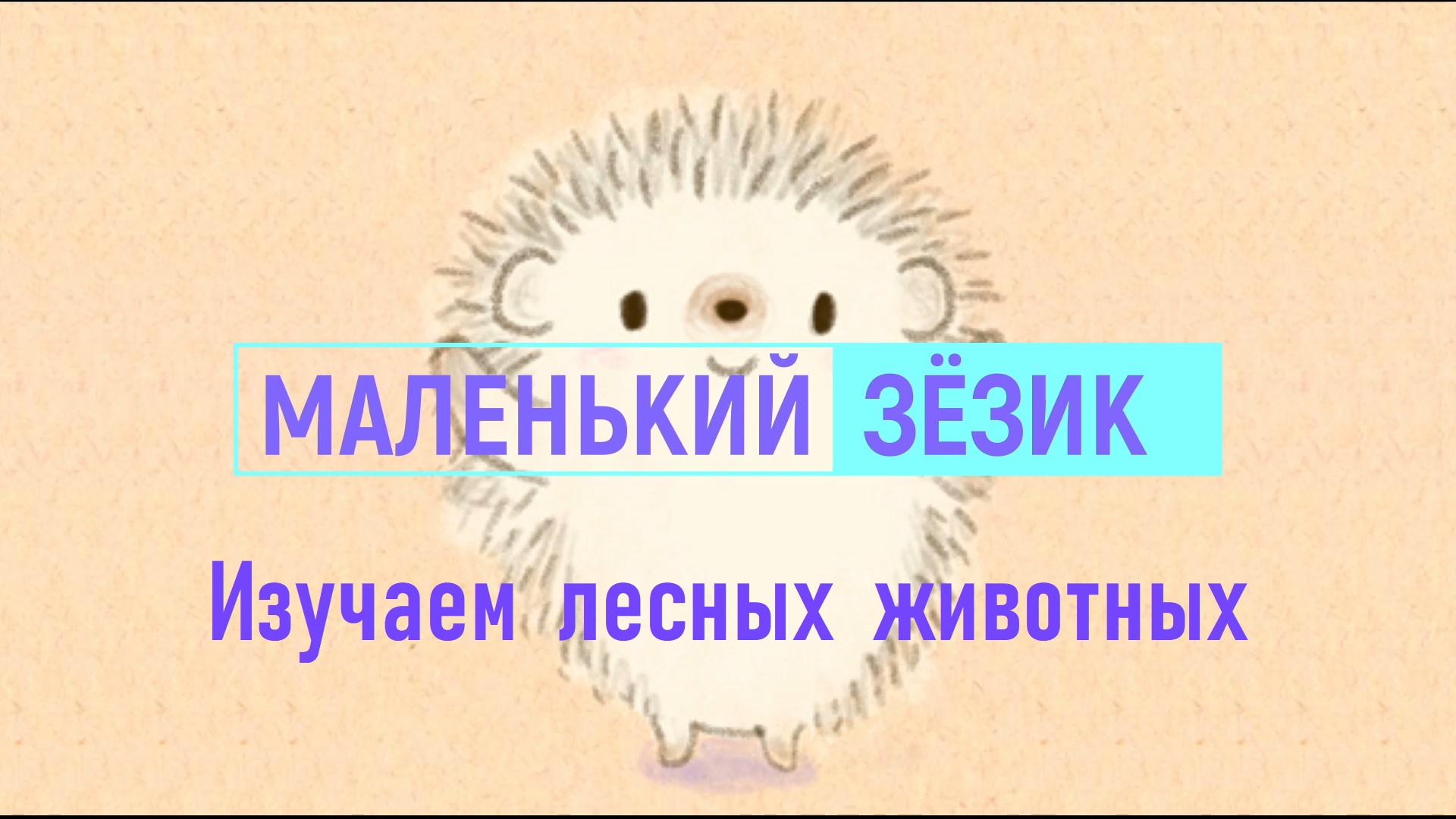 Изучаем лесных