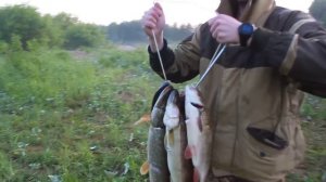 Кировская область, на реке, после подводной охоты.