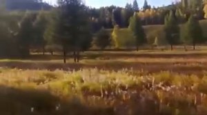 Здравствуй моя родина Нерчинский Завод