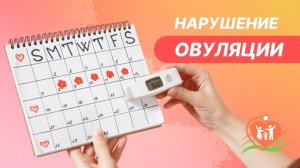 ♀ Овуляция. Причины нарушения овуляции