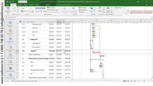 MS Project 2016 - Подписи в диаграмме Гантта