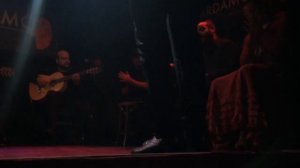 Flamenco Show, Cardamomo, Madrid, Spain