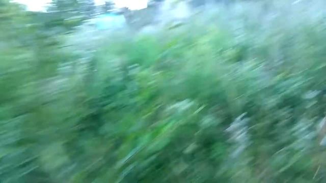 Старая дача - 2. смотреть онлайн