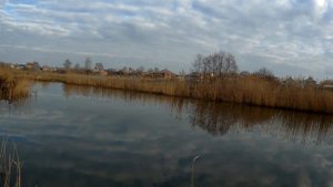 Как ловить щуку на такую приманку как блесна вертушка