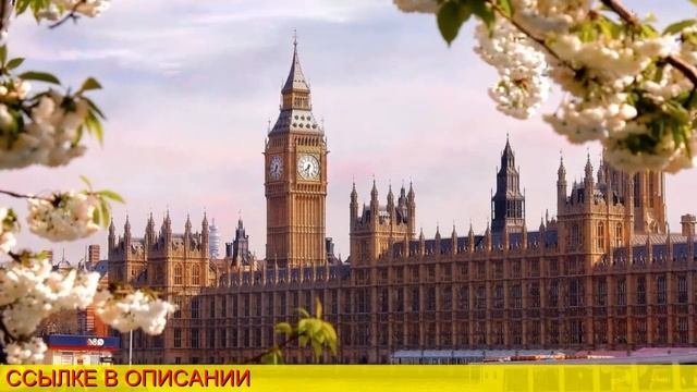 авиабилет омск санкт петербург