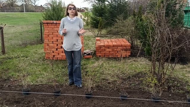 Делаем изгородь, которая всех поразит! смотреть онлайн