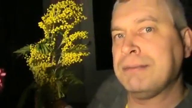 Видео обзор про весенние цветы в марте смотреть онлайн