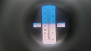 10 ноября 2022 виноград Молдова производство Молдавия который можно купить в Санкт-Петербурге