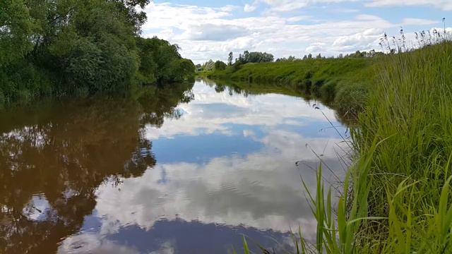 На реке Пахма похоже начинается вылет поденки. смотреть онлайн