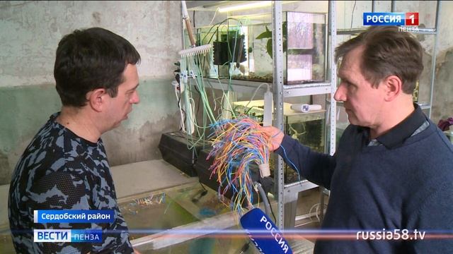 Сотрудники аквафермы в Сердобском районе поделились секретом выращивания креветок